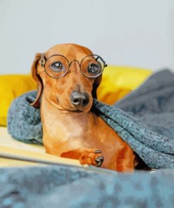 Dachshund With Glasses paint by numbers
