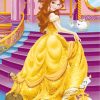 Disney Belle Princess paint by numbers