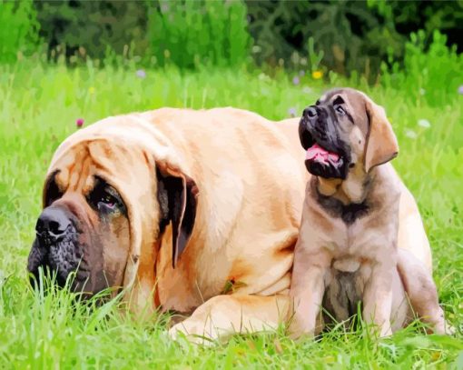 English Mastiff Dogs paint by numbers
