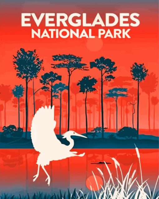 Everglades-national-park-Illustration-Poster-paint-by-number
