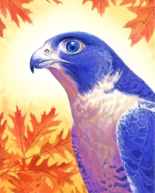 Falcon Art paint by numbers