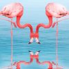 Pink Flamingos Drinking Water paint by numbers