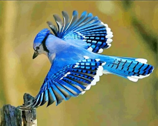 Flying Blue Jay Bird paint by numbers