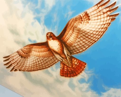 Flying Hawk Bird paint by numbers