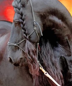 Friesian-horse-paint-by-numbers