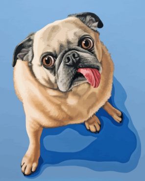 Funny Pug Dog paint by numbers