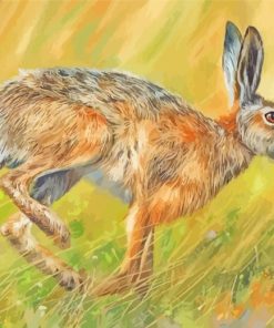 Hare Running paint by numbers
