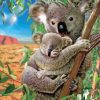 Baby Koala And Her Mother paint by numbers