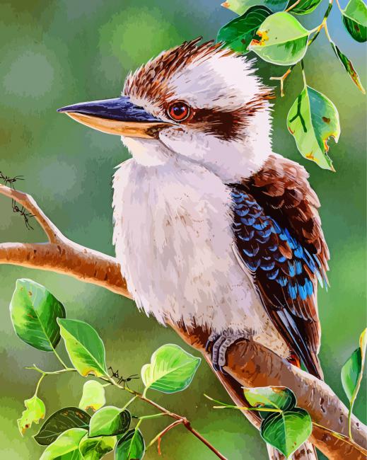 Kookaburra On A brunch paint by numbers