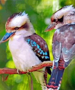 Kookaburras Bird paint by numbers