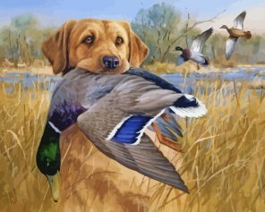 Labrador And Mallards paint by numbers