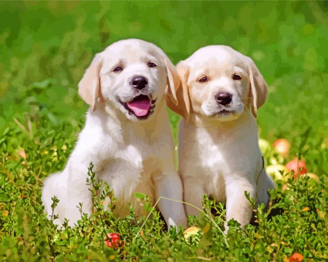 Labrador Retriever Pets Dogs paint by numbers