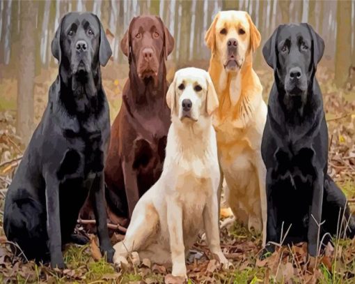 Labrador-Retrievers-paint-by-numbers