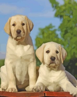 Labradors Puppies Dogs paint by numbers