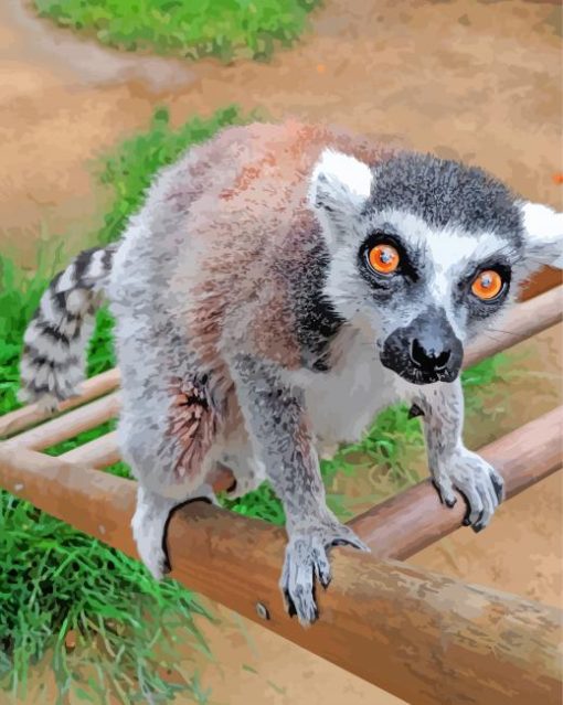 Lemur Animal paint by numbers