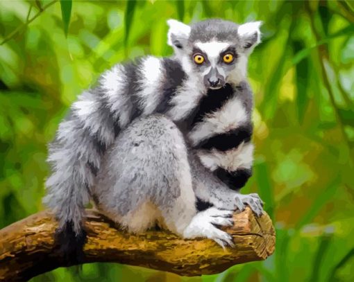 Lemur Primate Animal paint by numbers