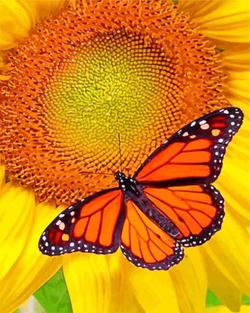 Lepidoptera And Sunflower paint by numbers