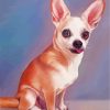 Little chihuahua paint by numbers