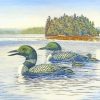 Loon Family Art paint by numbers