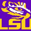 LSU paint by number