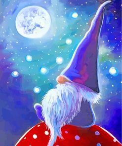 Magical Gnome paint by numbers