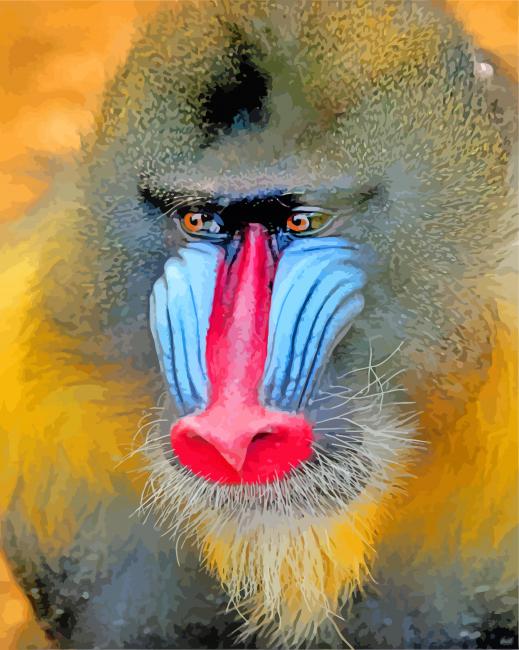 Mandrill Monkey Face paint by numbers