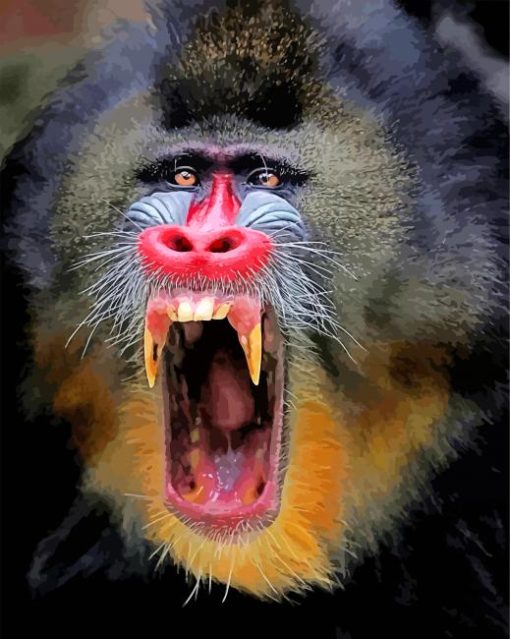 Mandrill Monkey paint by numbers