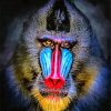 Mandrill Monkey Primate paint by numbers