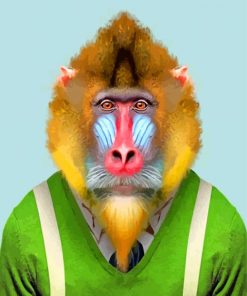 Mandrill Wearing Clothes paint by numbers