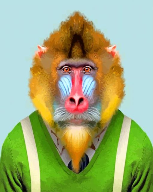 Mandrill Wearing Clothes paint by numbers