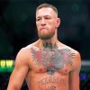 McGregor Conor paint by number paint by numbers