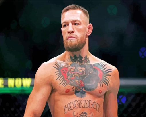 McGregor Conor paint by number paint by numbers
