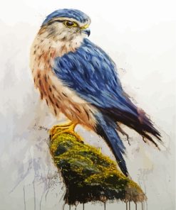 Merlin Falcon Bird paint by numbers