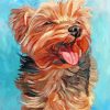 Morkie-dog-paint-by-number