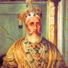 Mughal King paint by numbers