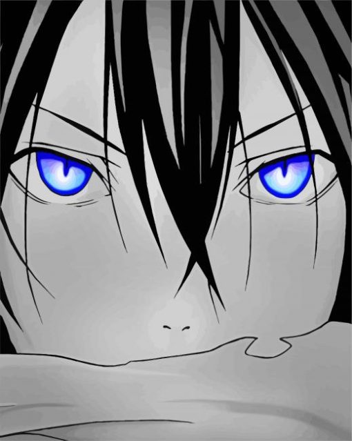 Noragami Yato paint by numbers