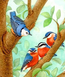 Nuthatch Birds paint by numbers