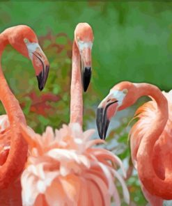 Orange Flamingo paint by numbers