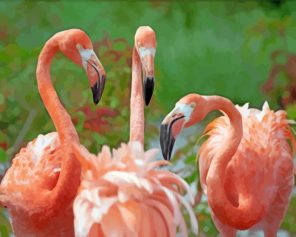 Orange Flamingo paint by numbers