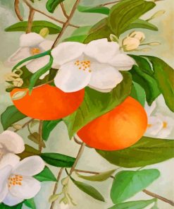 Orange Tree And Blossoms paint by numbers