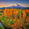 Oregon Mount Hood Fall paint by numbers