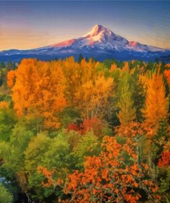 Oregon Mount Hood Fall paint by numbers