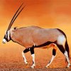 Oryx African Wildlife Animal paint by numbers