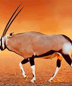 Oryx African Wildlife Animal paint by numbers