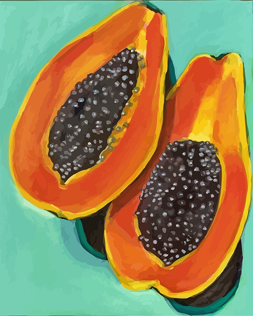 Papaya Fruit Art paint by numbers