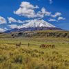 Cotopaxi National Park Quito paint by numbers