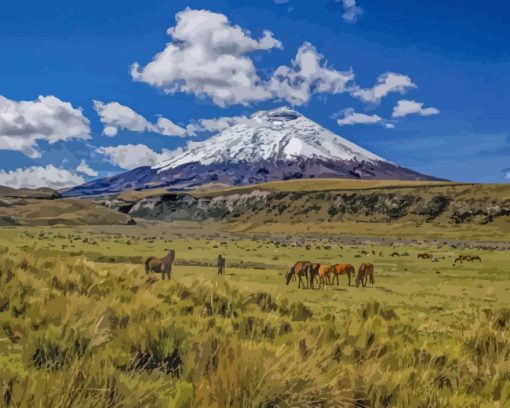 Cotopaxi National Park Quito paint by numbers