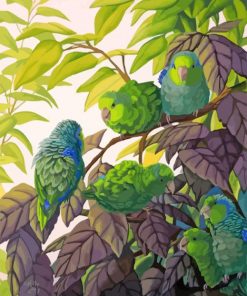 Parrotlet Birds paint by numbers