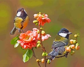 Parus Birds paint by numbers