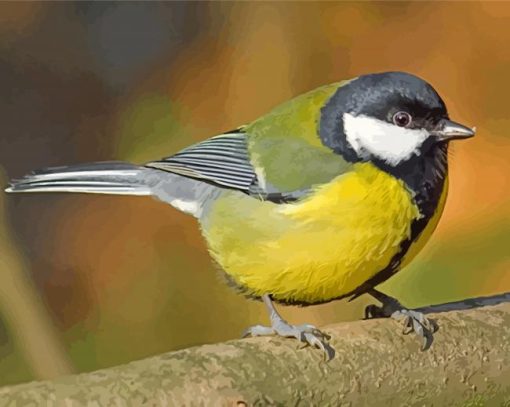 Parus Male Bird paint by numbers